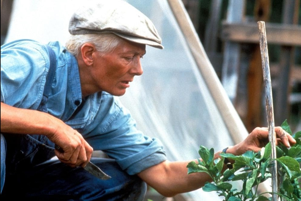 슬픈 카페의 노래 11.jpg