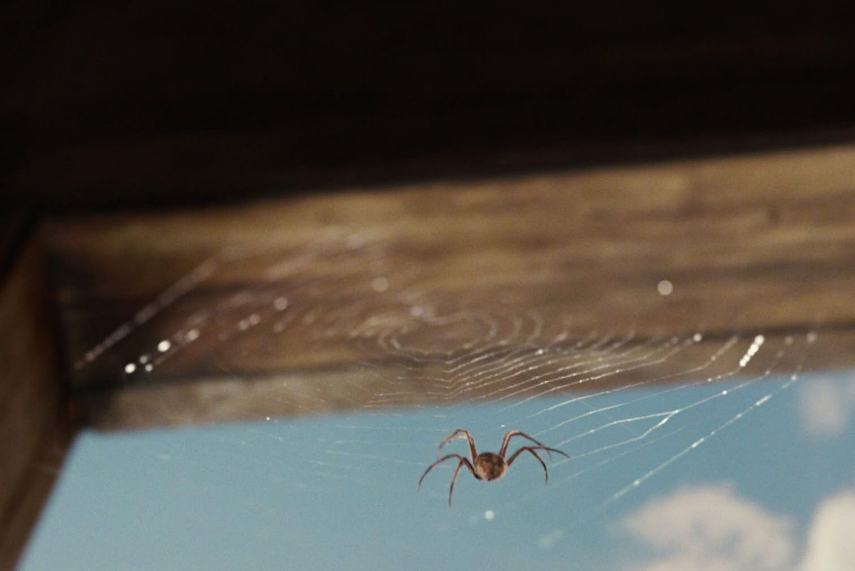 샬롯의 거미줄 09.jpg