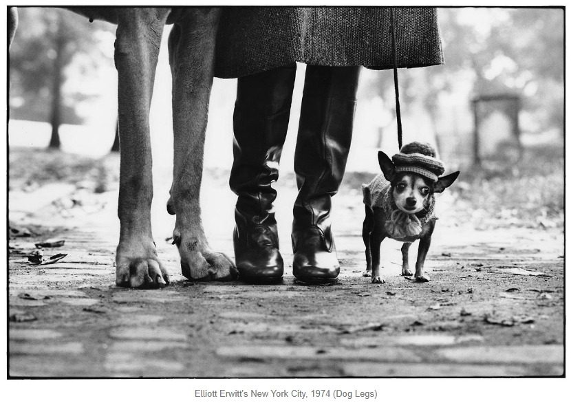 엘리엇 어윗.jpg