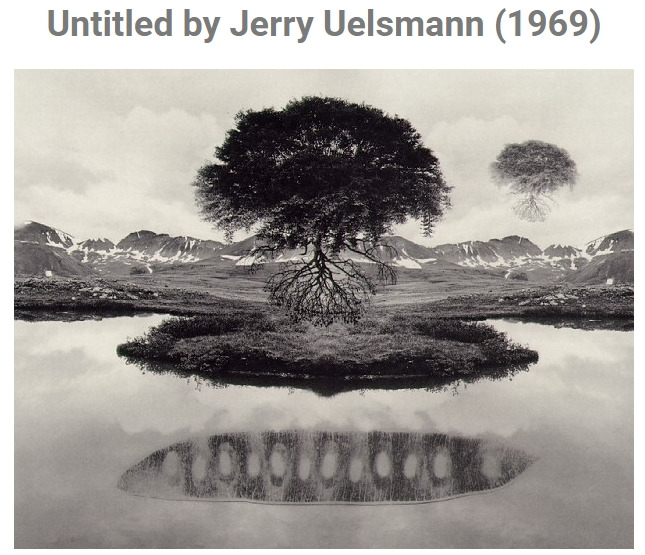 제리 율즈만의 나무.jpg