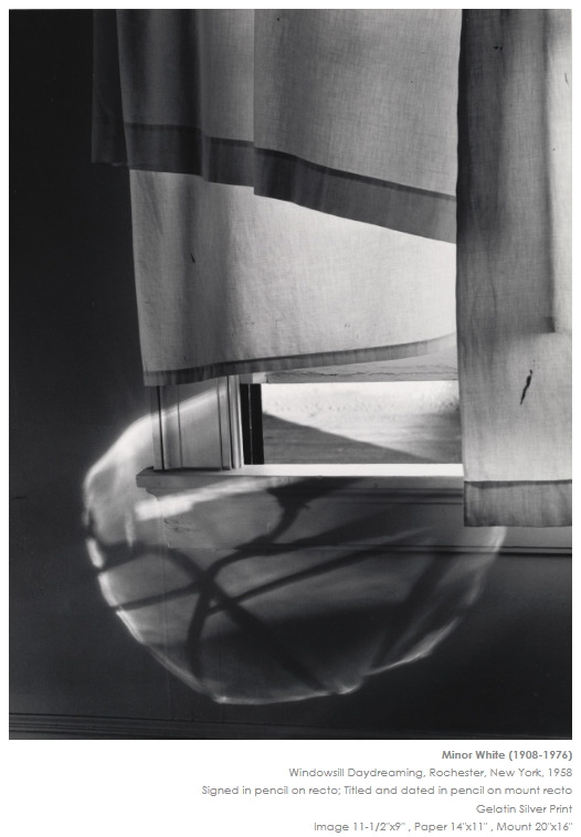 마이너 화이트.jpg