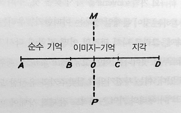 베르그송 시간 개념.jpg