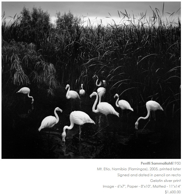 Pentti Sammallahti.jpg