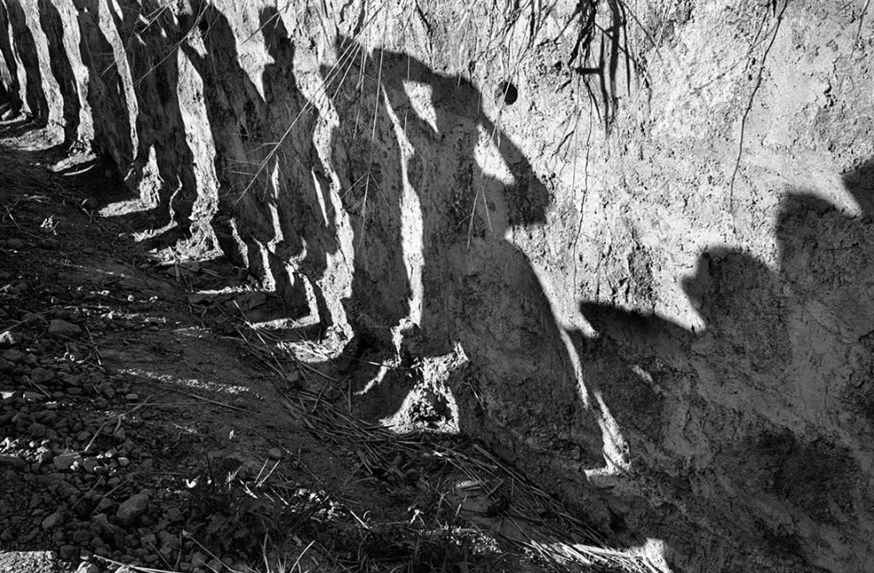 수잔 마이어셀라스.jpg