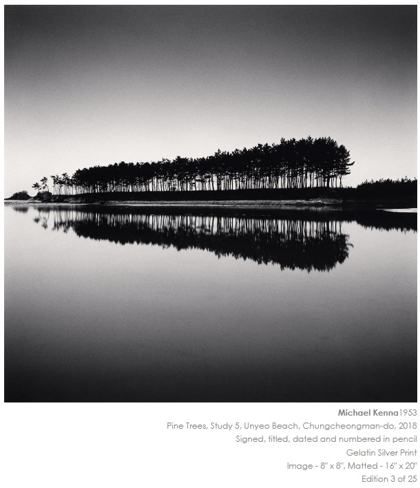 마이클 케냐.jpg