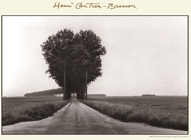 앙리 까르띠에 브레쏭의 나무.jpg