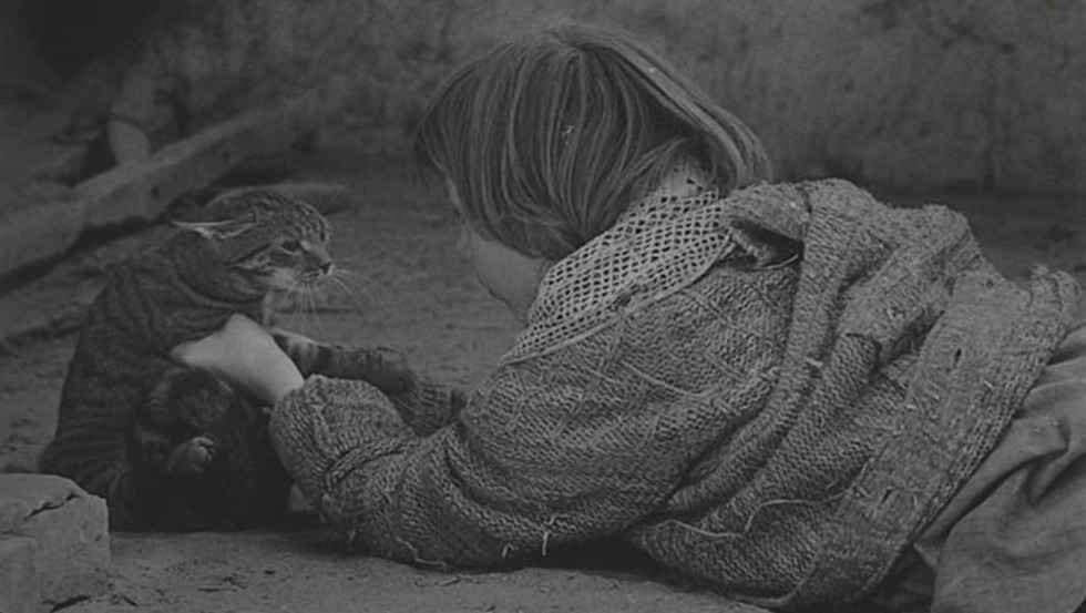 영화 사탄탱고 25.jpg