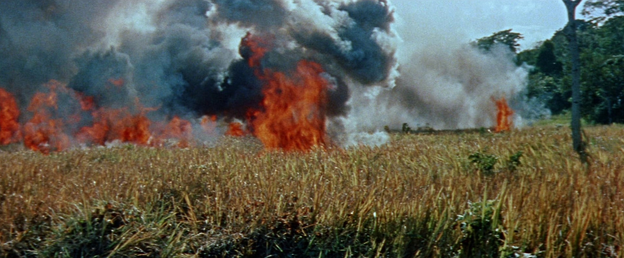 영화 나자와 사자 12.jpg