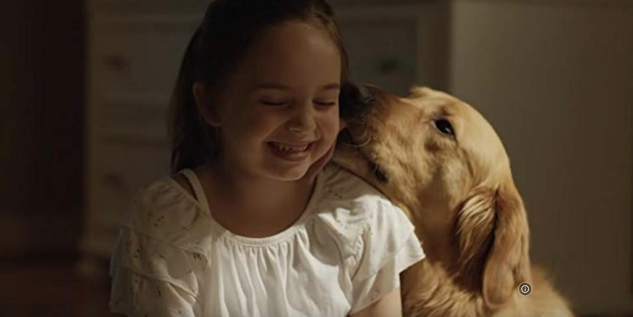 레이싱 인 더 레인 15.jpg