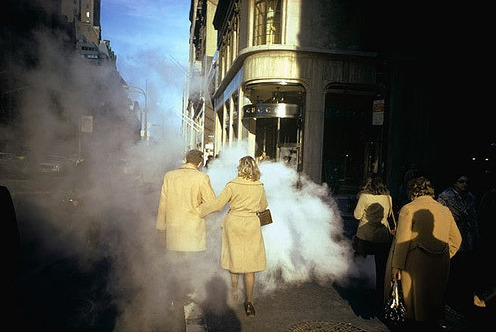 조엘 마이어로위츠.jpg