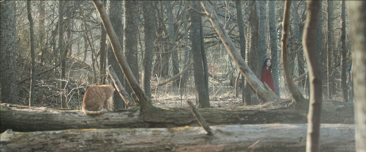 영화 7년의 밤 31.jpg