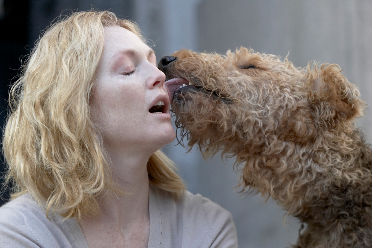 눈먼자들의 도시6.jpg