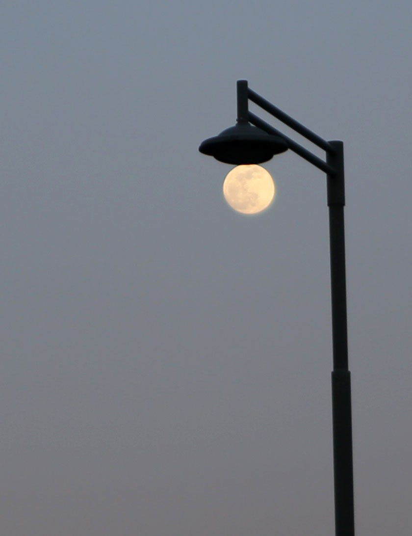 2020.2.8 정월 대보름.jpg