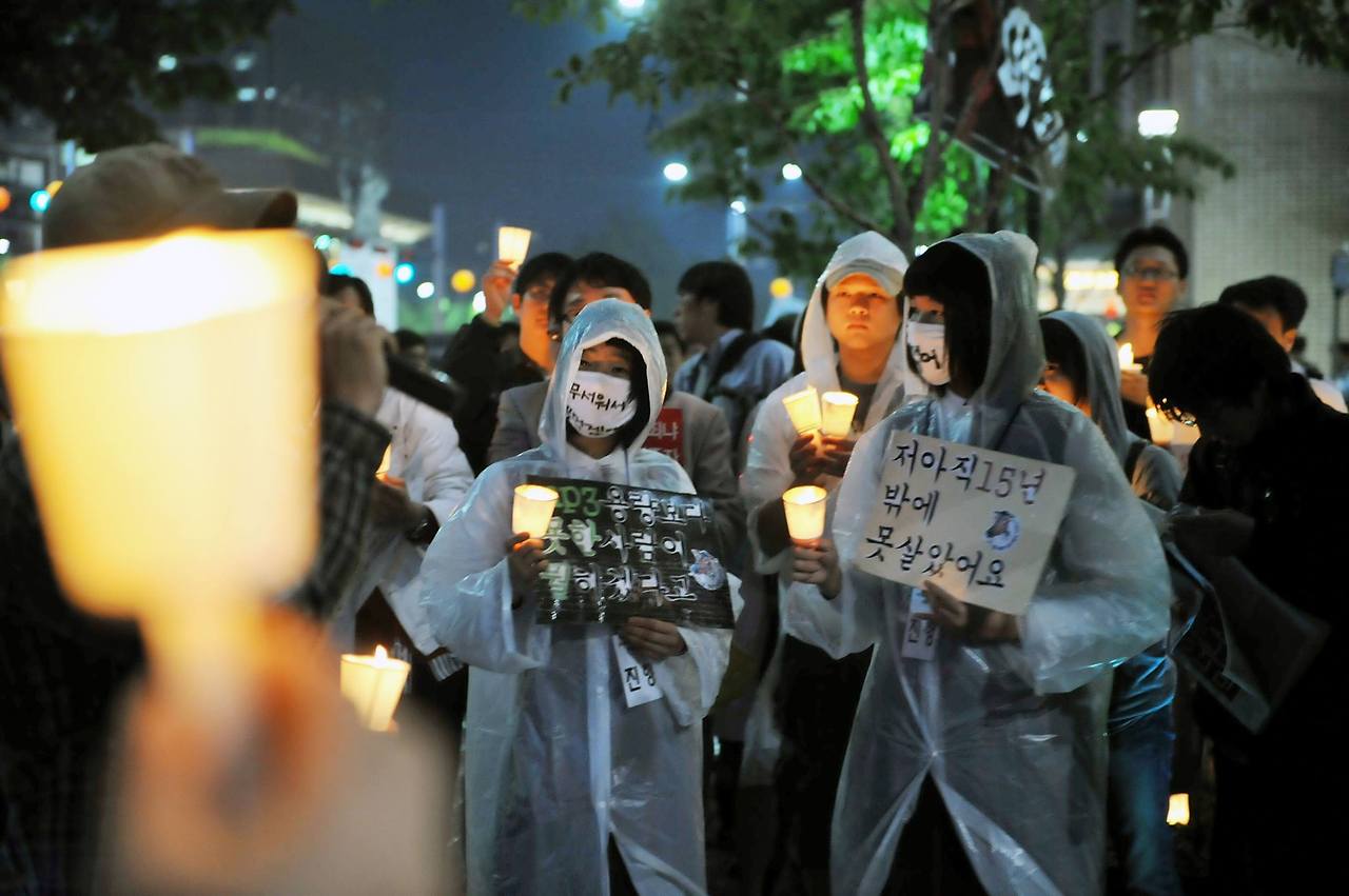 광우병 사진.jpg