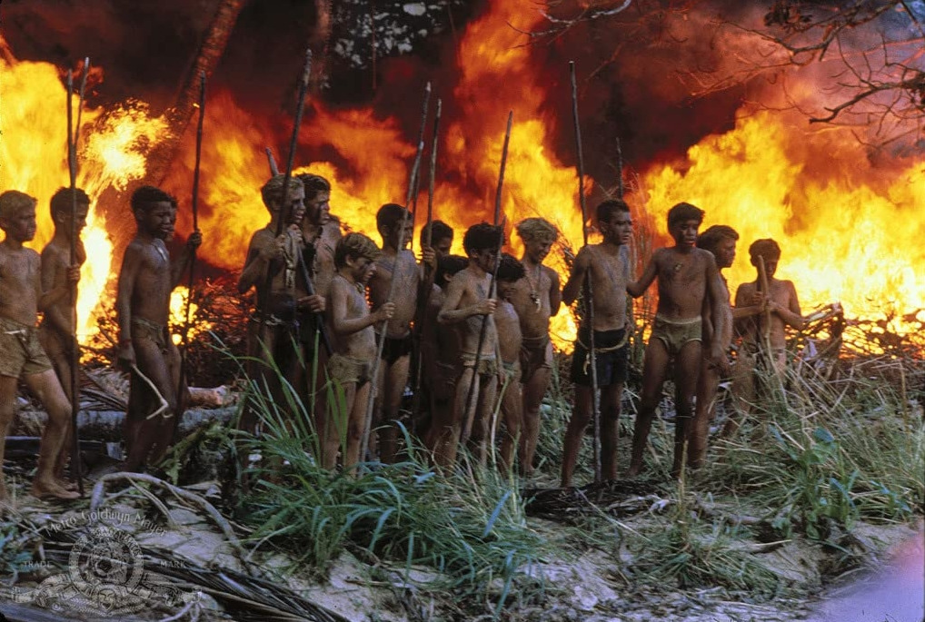 영화 파리대왕2.jpg