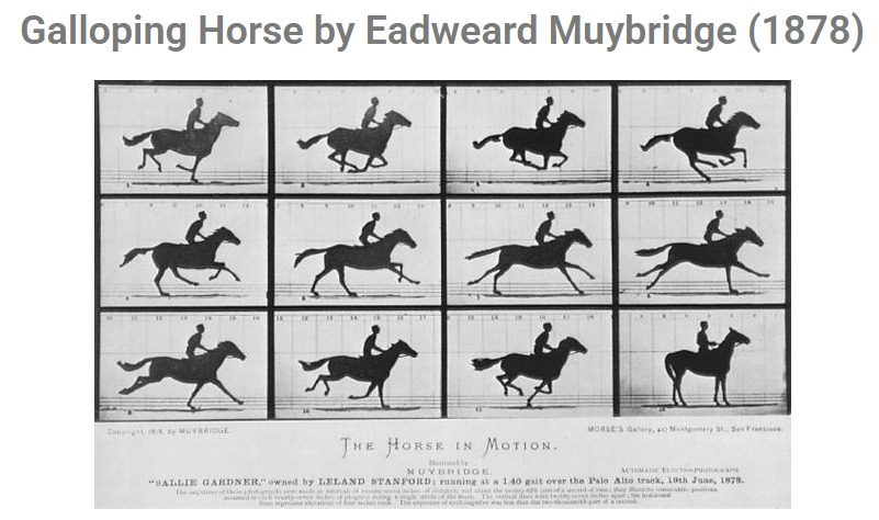 머이브리지 02.jpg