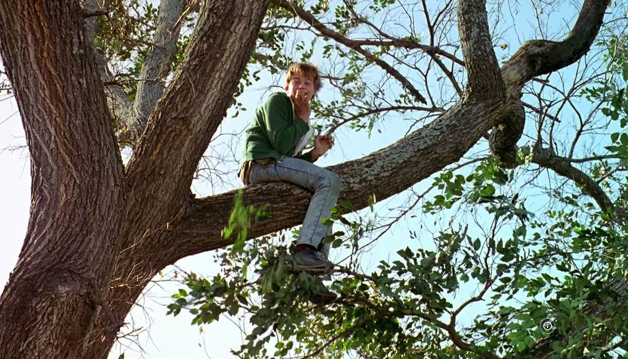 길버트 그레이프 26.jpg