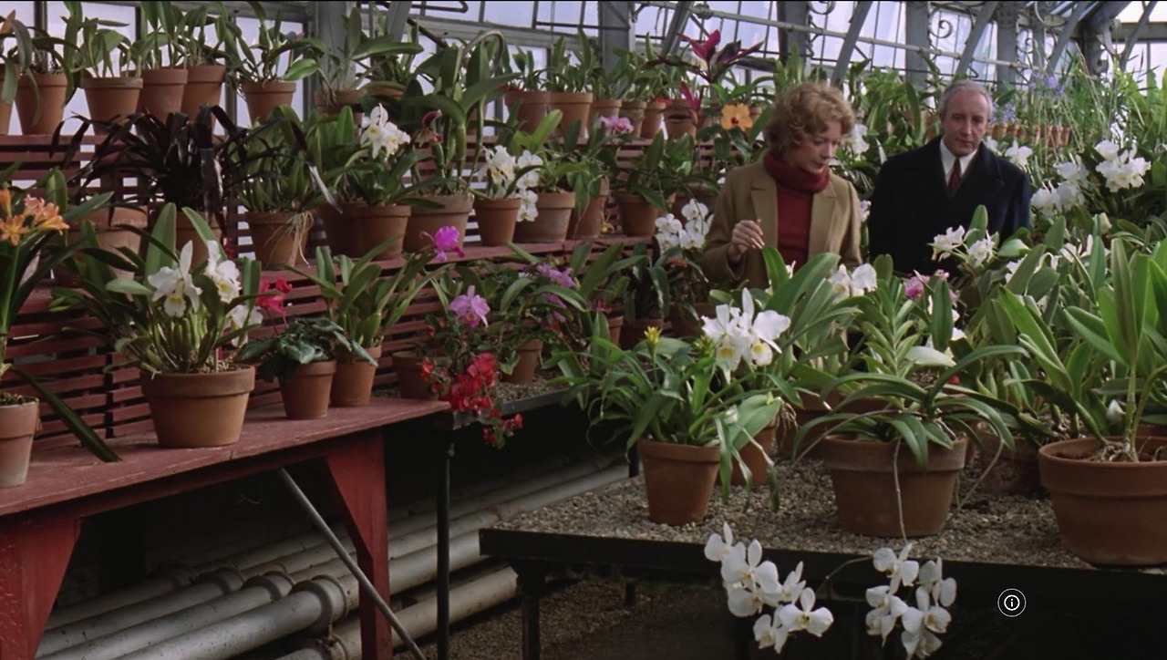 영화 찬스 10.jpg