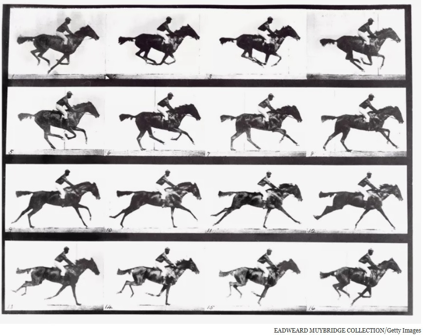 Eadweard Muybridge 01.jpg