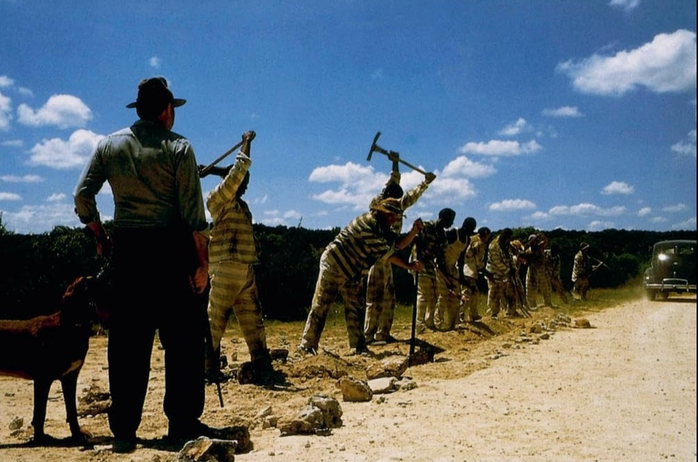 슬픈 카페의 노래 05.jpg