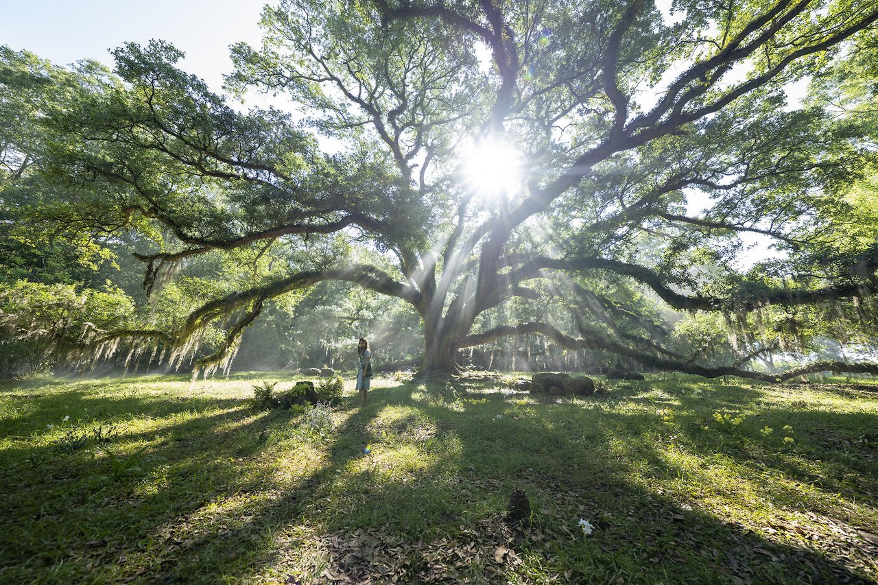 가재가 노래하는 곳 16.jpg