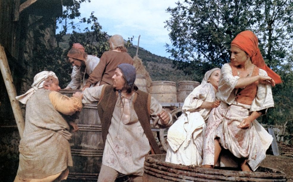 마틴 기어의 귀향 13.jpg