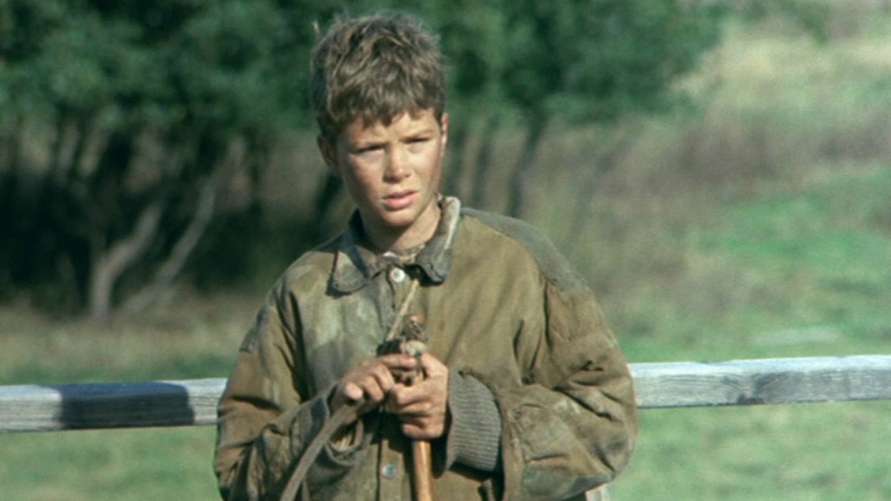 정복자 펠레 03.jpg