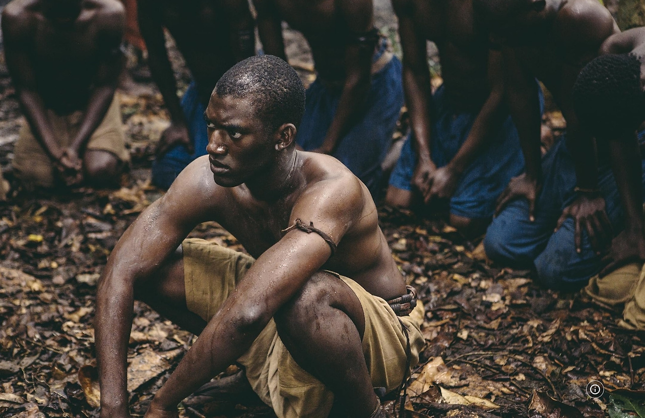 영화 뿌리 11.jpg