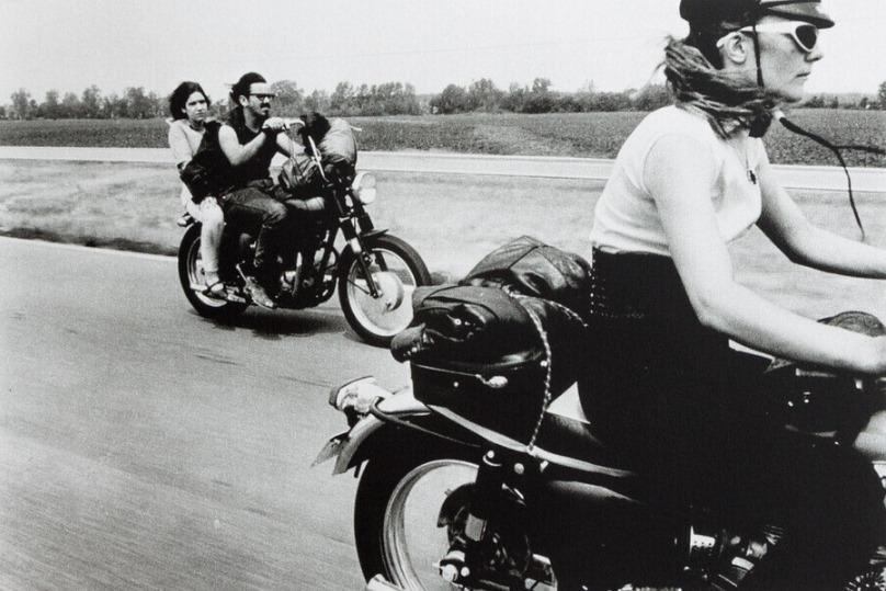 대니 라이온.jpg