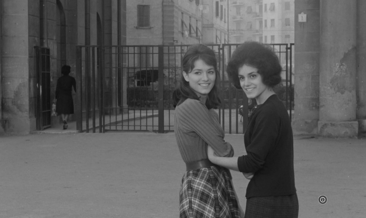 바이얼런트 라이프 06.jpg