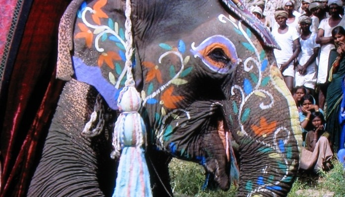 인도로 가는 길 10.jpg