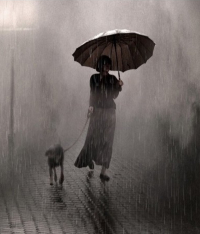 사울 레이터 사진 03.jpg