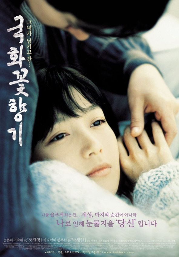 국화꽃 향기 19.jpg