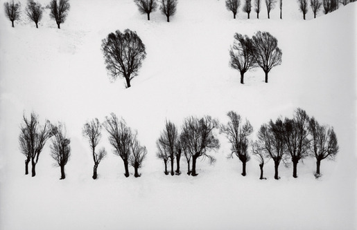 압바스 키아로스타미 2.jpg