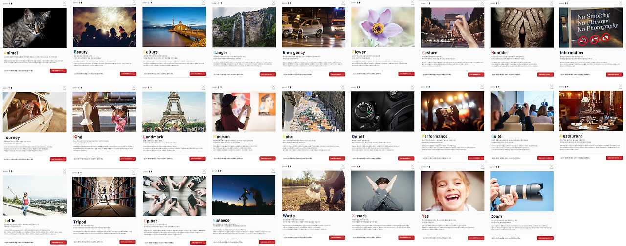 캐논 굿셔터.jpg