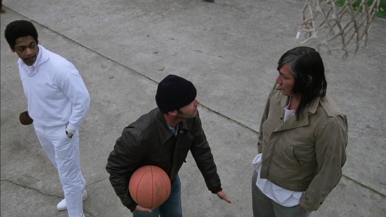 뻐꾸기 둥지 위로 날아간 새 06.jpg