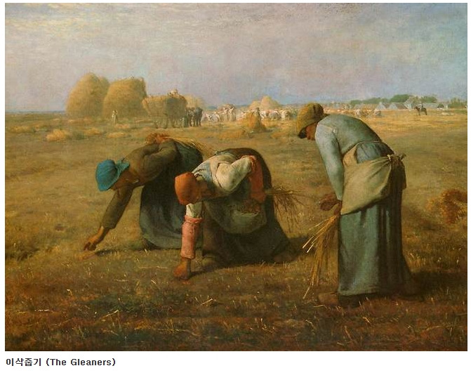 이삭줍기.jpg