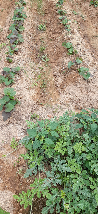 20250705_101706 (1).jpg