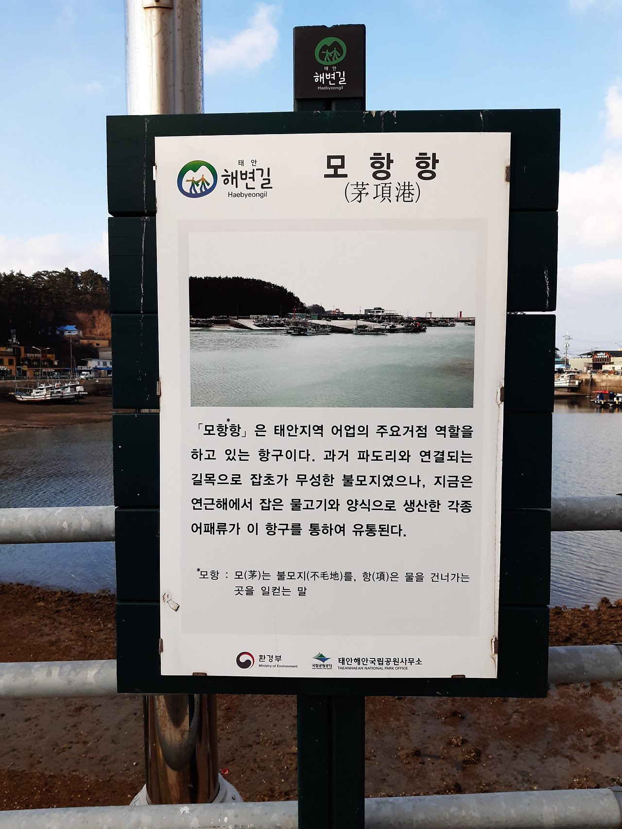 모항포구.jpg