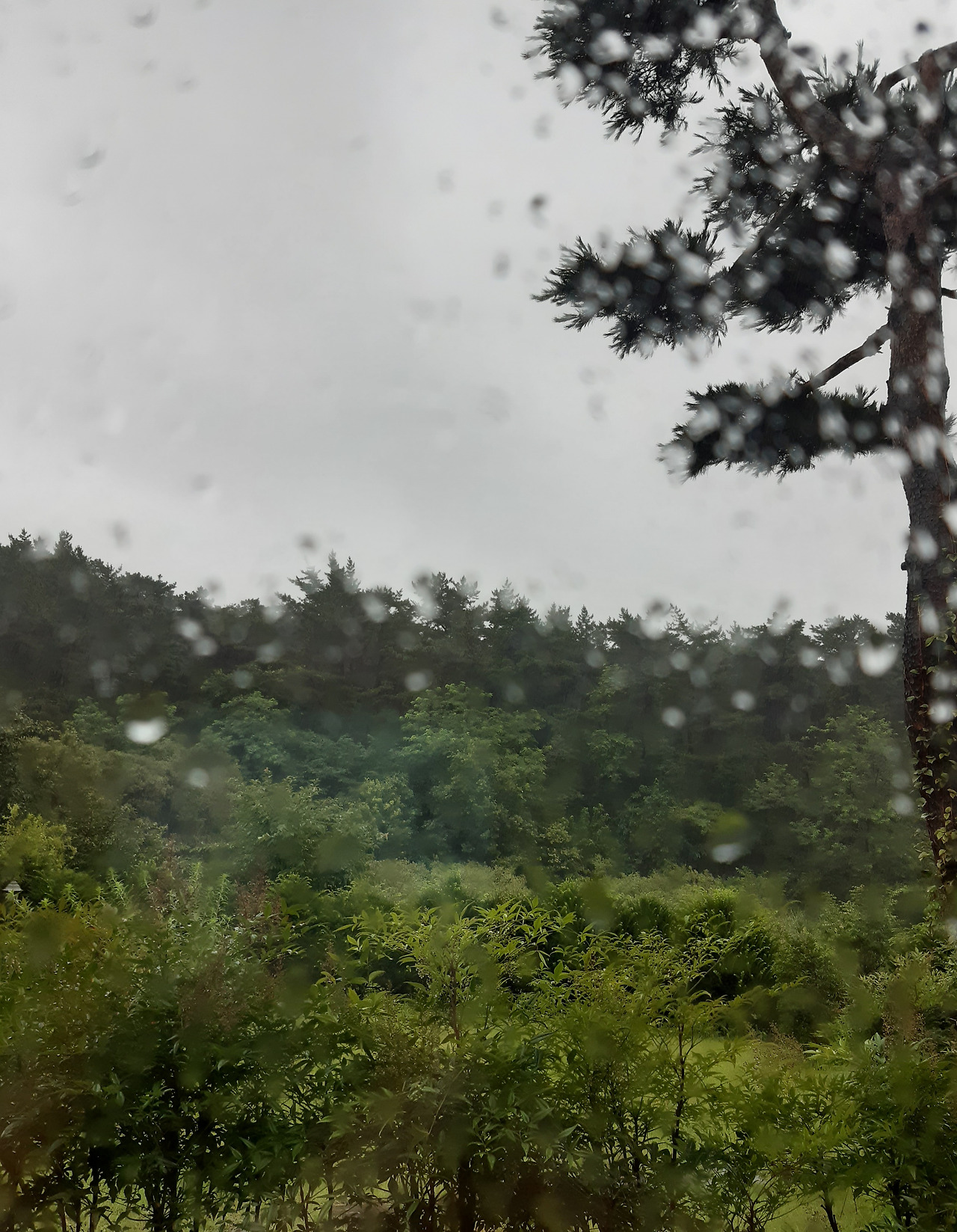 20240718_092727 (1).jpg