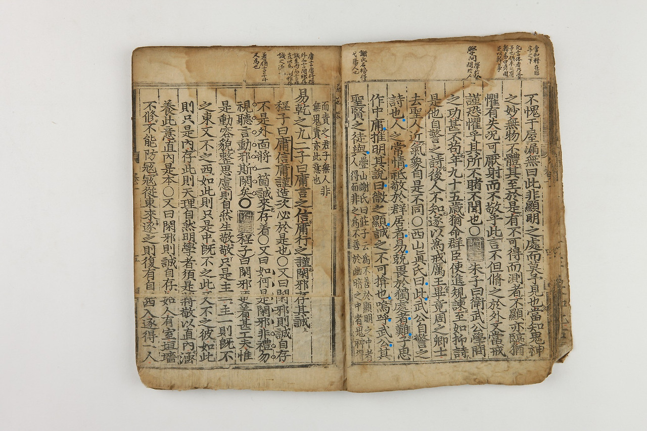 주부씨 사진.jpg