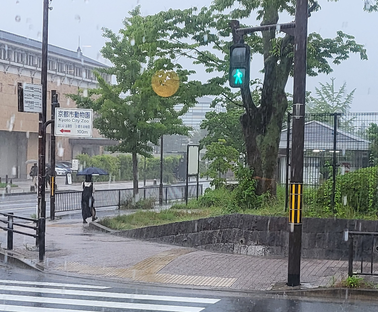 교세라 미술관 앞 카페에서.jpg