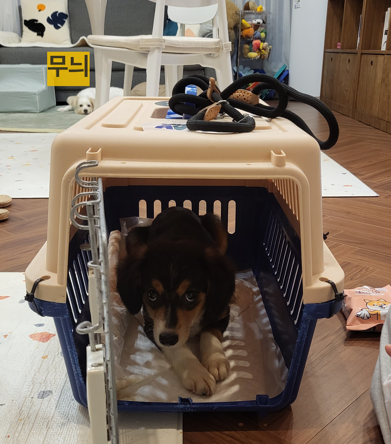 20220912_185910 (1).jpg