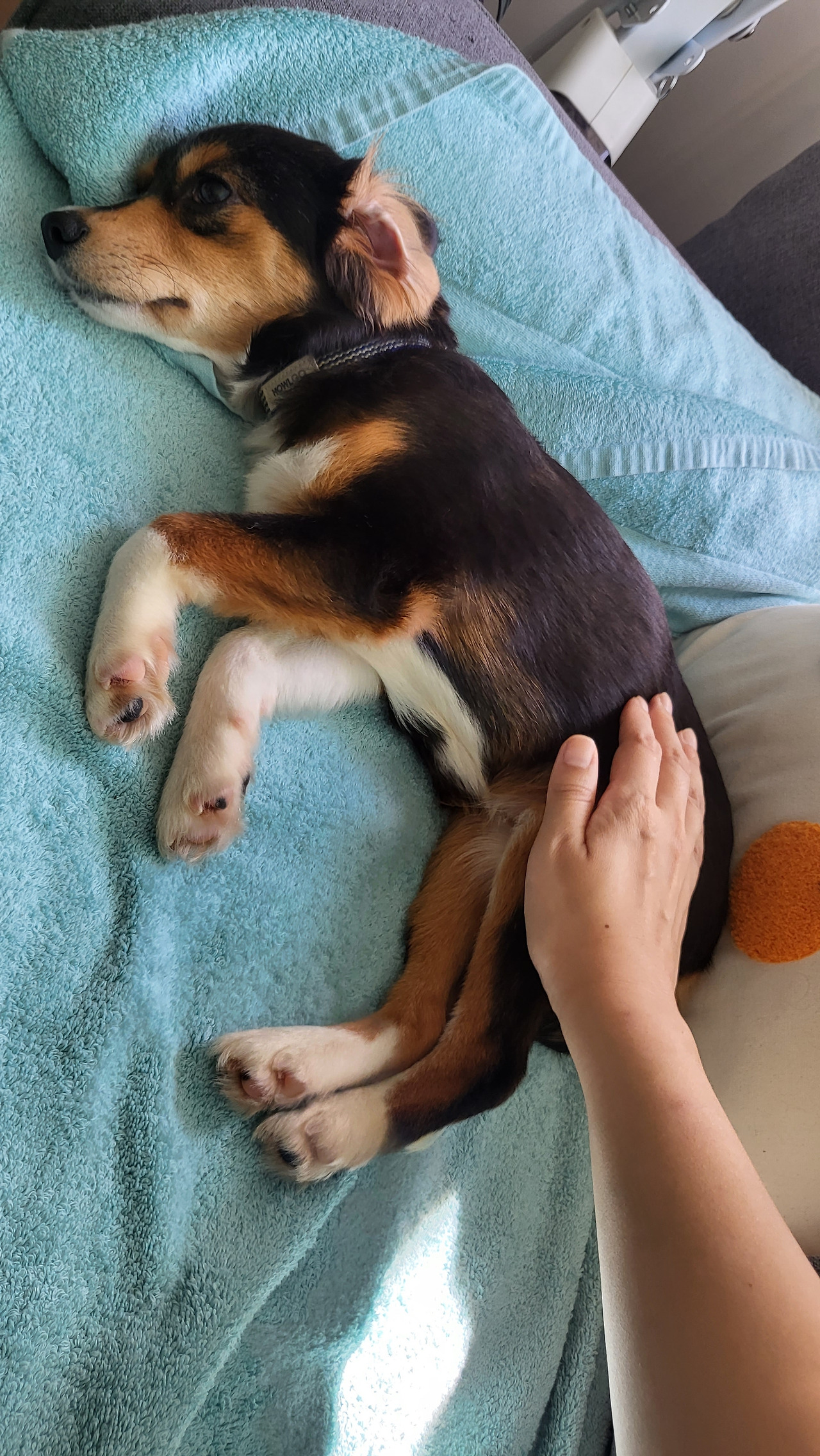 20220916_111412 (1).jpg