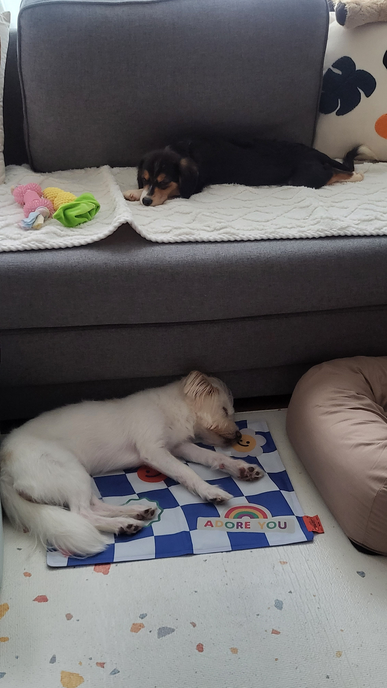 20220914_173636 (1).jpg