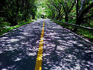 부산-서울 (18).jpg