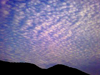 부산-서울 (11).jpg