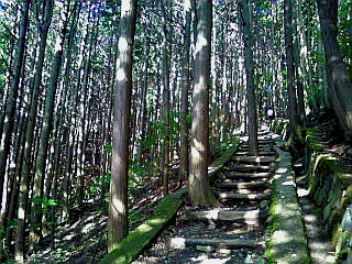 부산-서울 (2).jpg