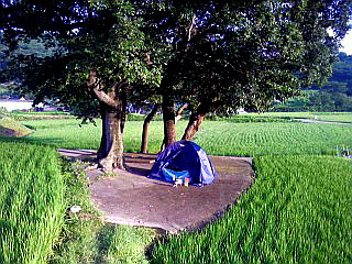 부산-서울 (3).jpg