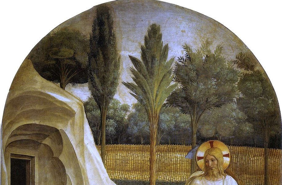 놀리메 탕게레.jpg